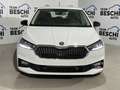 Skoda Fabia 1.0 TSI 95 CV Young Edition Bianco - thumbnail 2