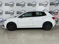 Skoda Fabia 1.0 TSI 95 CV Young Edition Bianco - thumbnail 3