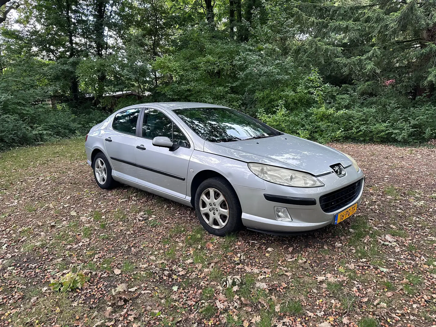 Peugeot 407 407 1.8-16V XR Zilver - 1