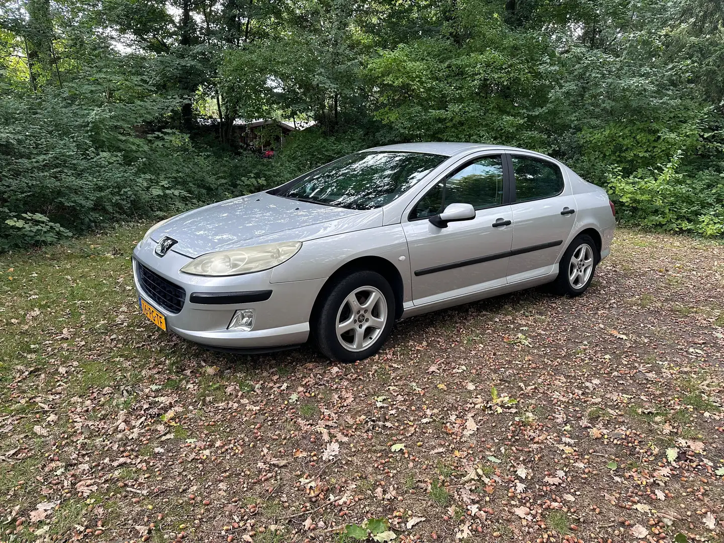 Peugeot 407 407 1.8-16V XR Zilver - 2