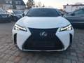 Lexus UX 250h F SPORT*Kamera*Leder*Head-up Weiß - thumbnail 3