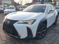 Lexus UX 250h F SPORT*Kamera*Leder*Head-up Weiß - thumbnail 1