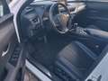 Lexus UX 250h F SPORT*Kamera*Leder*Head-up Weiß - thumbnail 12
