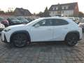 Lexus UX 250h F SPORT*Kamera*Leder*Head-up Weiß - thumbnail 5