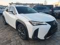 Lexus UX 250h F SPORT*Kamera*Leder*Head-up Weiß - thumbnail 4