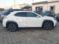 Lexus UX 250h F SPORT*Kamera*Leder*Head-up Weiß - thumbnail 9