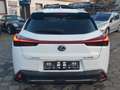 Lexus UX 250h F SPORT*Kamera*Leder*Head-up Weiß - thumbnail 7
