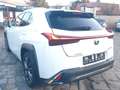 Lexus UX 250h F SPORT*Kamera*Leder*Head-up Weiß - thumbnail 6