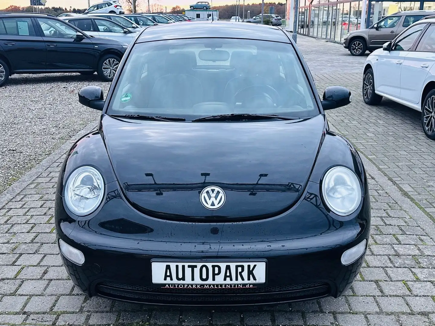 Volkswagen New Beetle Lim. 1.4 Miami *KLIMA*AHK*KLIMA* Zwart - 2