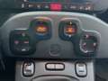 Fiat Panda Panda 4x4 1.3 mjt 16v 4x4 Sempre tagliandata!!!! Bianco - thumbnail 10