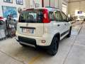 Fiat Panda Panda 4x4 1.3 mjt 16v 4x4 Sempre tagliandata!!!! Bianco - thumbnail 6