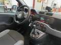 Fiat Panda Panda 4x4 1.3 mjt 16v 4x4 Sempre tagliandata!!!! Bianco - thumbnail 8