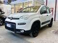 Fiat Panda Panda 4x4 1.3 mjt 16v 4x4 Sempre tagliandata!!!! Bianco - thumbnail 1