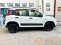 Fiat Panda Panda 4x4 1.3 mjt 16v 4x4 Sempre tagliandata!!!! Bianco - thumbnail 3