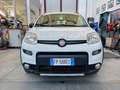 Fiat Panda Panda 4x4 1.3 mjt 16v 4x4 Sempre tagliandata!!!! Bianco - thumbnail 4