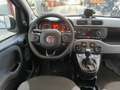 Fiat Panda Panda 4x4 1.3 mjt 16v 4x4 Sempre tagliandata!!!! Bianco - thumbnail 7