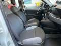 Fiat Panda Panda 4x4 1.3 mjt 16v 4x4 Sempre tagliandata!!!! Bianco - thumbnail 12