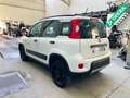 Fiat Panda Panda 4x4 1.3 mjt 16v 4x4 Sempre tagliandata!!!! Bianco - thumbnail 5