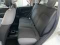 Fiat Panda Panda 4x4 1.3 mjt 16v 4x4 Sempre tagliandata!!!! Bianco - thumbnail 14