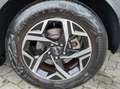 Kia Sportage Sportage 1.6 crdi mhev Business dct Nero - thumbnail 14