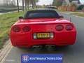 Chevrolet Corvette C5 cabriolet | 1999 | Route 66 Auctions Zwart - thumbnail 6