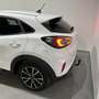 Ford Puma 1.0 EcoBoost MHEV 125cv ST-Line Blanco - thumbnail 8