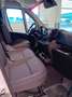Fiat Ducato cab. sing. 35Q MH1 120 CV cassone fisso 3.310 mm Bianco - thumbnail 5