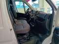 Fiat Ducato CAB. SING. 35Q L2 H1 120 CV CASSONE FISSO 3.310 mm Blanc - thumbnail 18