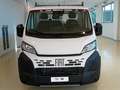 Fiat Ducato cab. sing. 35Q MH1 120 CV cassone fisso 3.310 mm Bianco - thumbnail 2