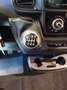 Fiat Ducato cab. sing. 35Q MH1 120 CV cassone fisso 3.310 mm Bianco - thumbnail 6