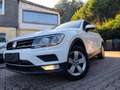 Volkswagen Tiguan Tiguan Diesel 2.0 TDI SCR 4Motion (BlueMotion Tec Blanc - thumbnail 34