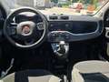 Fiat Panda Panda III 2021 1.0 firefly hybrid City Life s Grigio - thumbnail 3
