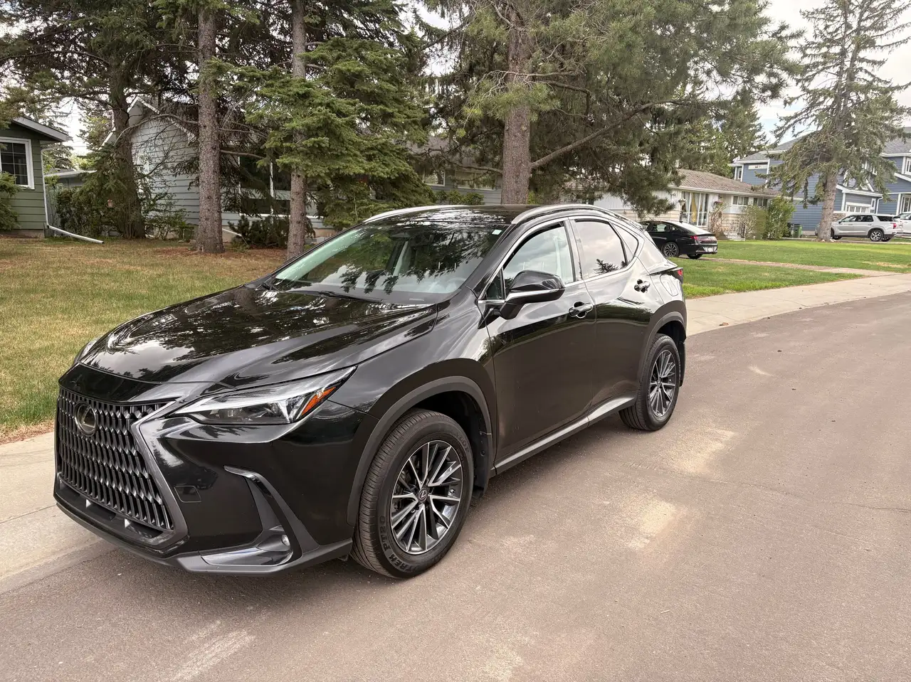 2023 Lexus NX