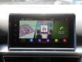 SEAT Tarraco 1.4 TSI Xperience e-HYBRID AHK NAVI F Weiß - thumbnail 13