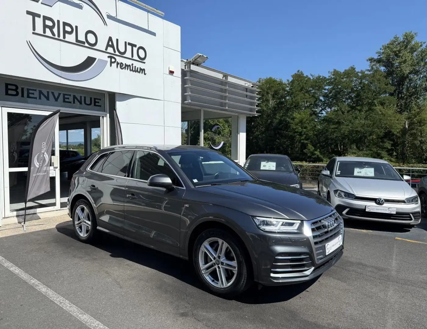 Audi Q5 Q5 Quattro 2.0 50 TFSI e - 299 - BV S-tronic  S li Gris - 1
