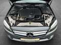 Mercedes-Benz C 220 T d AHK/NAVI/KAMERA Grau - thumbnail 6