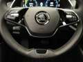 Skoda Octavia Combi 1.4 TSI iV PHEV Business Edition / Adap. Cru Wit - thumbnail 20