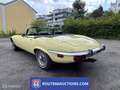 Jaguar E-Type Series 3 Cabriolet | 1973 | Route 66 Auctions Noir - thumbnail 7