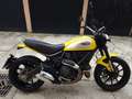 Ducati Scrambler 800 ICON Giallo - thumbnail 1