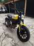 Ducati Scrambler 800 ICON Giallo - thumbnail 2
