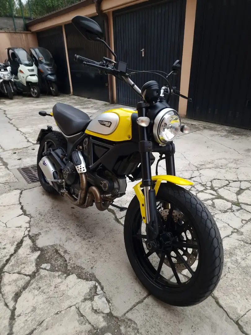Ducati Scrambler 800 ICON Giallo - 2