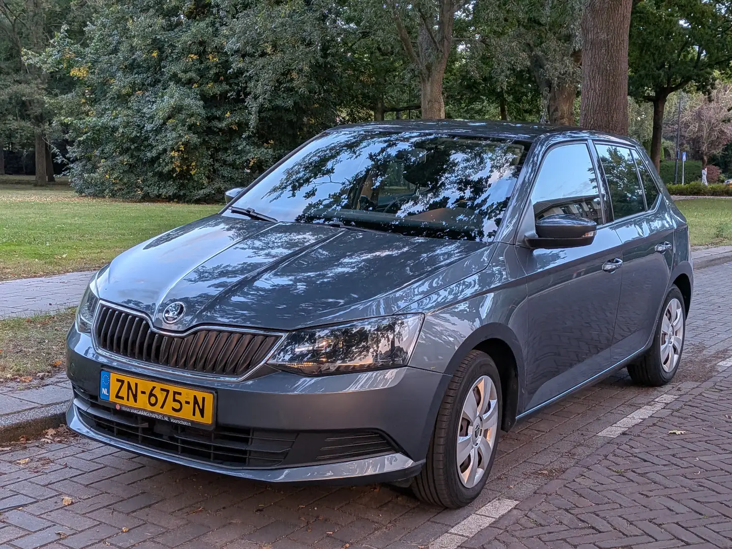 Skoda Fabia Fabia 1.0 Style Grijs - 2