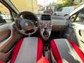 Fiat Panda 1.2 4x4 DISTRIBUZIONE NUOVA Jaune - thumbnail 10