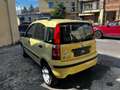 Fiat Panda 1.2 4x4 DISTRIBUZIONE NUOVA Jaune - thumbnail 6