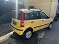 Fiat Panda 1.2 4x4 DISTRIBUZIONE NUOVA Jaune - thumbnail 4