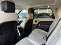 Land Rover Range Rover Sport Range Rover Sport 3.0 sdV6 HSE 249cv auto my19 Blu/Azzurro - thumbnail 11