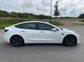 Tesla Model 3 Model 3 Langstreckenbatt. Allradantrieb Dual Motor Alb - thumbnail 12