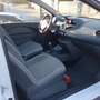 Renault Twingo 1.5 DCI 85CH DYNAMIQUE Blanc - thumbnail 11