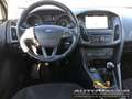 Ford Puma 1.0 EcoBoost Hybrid 125 CV  Titanium Blu/Azzurro - thumbnail 12