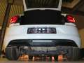 Volkswagen Polo 1.0 TSI OPF United Navi DAB LM15 Білий - thumbnail 16